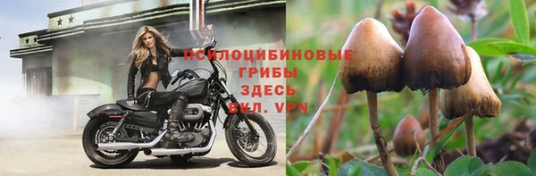 амф Алзамай