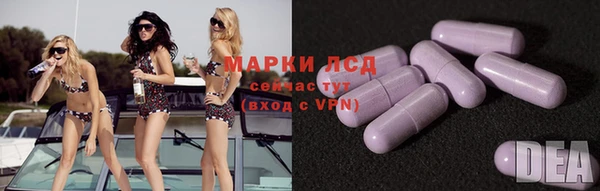 амф Алзамай