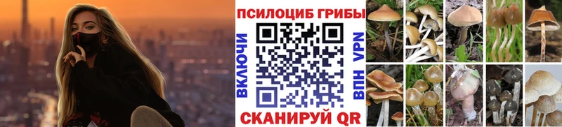 Галлюциногенные грибы мицелий  купить наркотик  Константиновск 