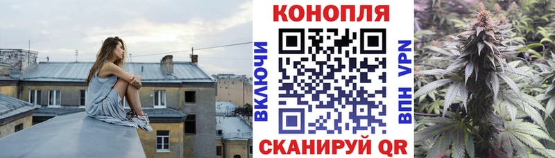 Бошки марихуана план Константиновск